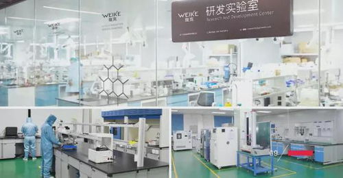 品質(zhì)創(chuàng)新研發(fā)，鑄就輝煌——東莞膜材涂布廠的能源技術(shù)新篇章