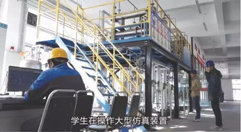 石油化工技術與市場銷售 產業鏈協同發展的雙輪驅動